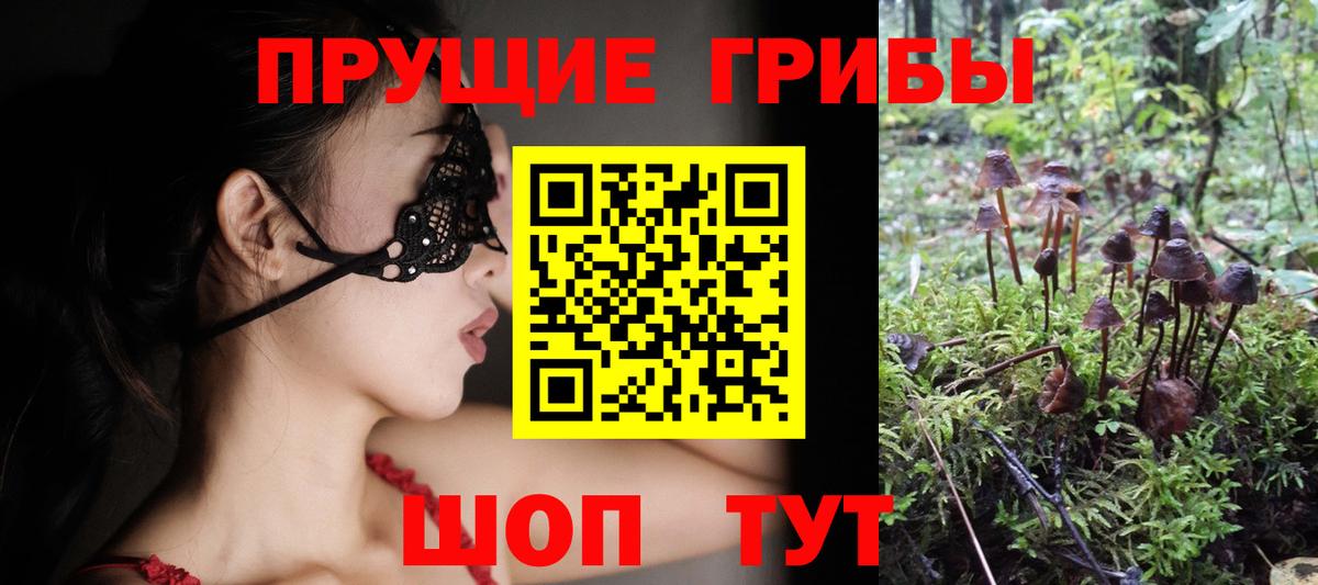 Псилоцибиновые грибы Psilocybe Озёры
